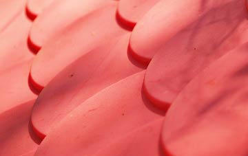 Ridgewood plastic roof costs