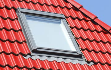 roof windows Ridgewood, East Sussex